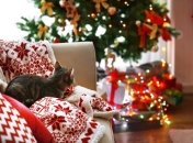 Як відновити новорічний настрій