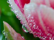 Дожди дадут небольшую передышку и вернутся