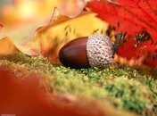 24 сентября. Приметы дня