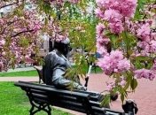 В Киеве полным ходом цветут сакуры: украинцы восхищаются яркими фото