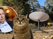 Илон Маск и кот