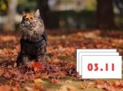 В народе отмечают праздник - День Иллариона