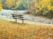 17 ноября. Приметы дня