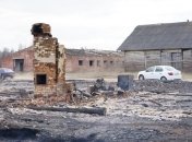 Глава Житомирской ОГА назвал одну из возможных причин масштабных пожаров