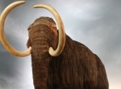 Фермер из Мичигана обнаружил на пшеничном поле мамонта