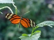 Какие завтра праздники: традиции и приметы на 10 июля