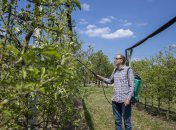 Обрабатывать яблони просто необходимо