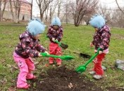 Рассказы папы тройняшек: как мы деревья сажали