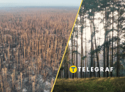 Коллаж "Телеграф"