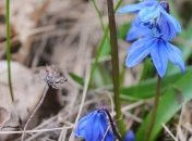 Погода в Украине 27 марта: в некоторых областях температура повысится