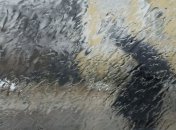 Украину зальет дождями  