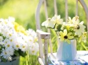 Какой праздник 1 июня: народные приметы и запреты