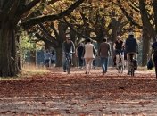 Готовимся к осени: 7 полезных продуктов для хорошего иммунитета