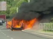 В Киеве на ходу сгорел автомобиль: видео инцидента попало в сеть
