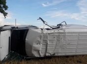 Четыре человека в больнице: водитель уснул за рулем микроавтобуса на Волыни (фото)