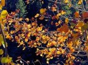 Праздник 5 октября: главные приметы и что категорически запрещено делать