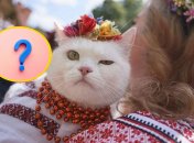 Кошка в вышиванке