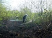 На Днепропетровщине сгорели 2 га поля сухостоя