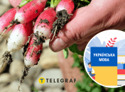 Колаж "Телеграфу"