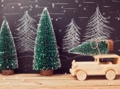 12 декабря 2015, примета дня. Днем купить елочку, ночью погадать на судьбу