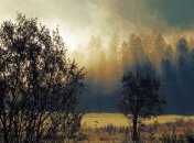 10 марта - приметы и обряды в День Тараса