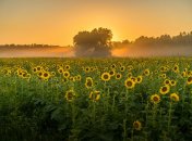 Август начнется с жары