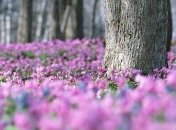 24 марта. Приметы дня