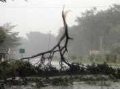 Количество жертв циклона "Фани" в Индии возросло до 12-ти 