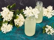 Квас із бузини завоює серце кожного!