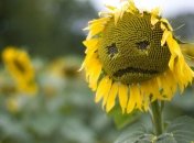 Депрессия может вызвать инсульт