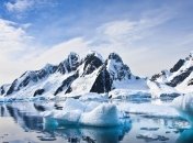 В Арктике обнаружен новый вид птиц с острыми зубами