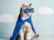 Які знаки Зодіаку народжені для великих справ