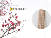 Погода в Киеве