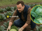 Врожай капусти