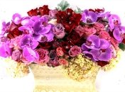 Поздравительные открытки с днем рождения женщине