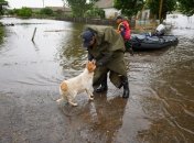 Від підриву Каховської ГЕС постраждали тисячі тварин