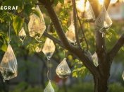 Пакети з водою покращують ріст дерев  (зображення створено за допомогою ШІ)