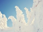 В Украине нет предпосылок для самой холодной зимы за столетие