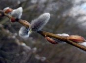 Прогноз погоды в Украине 18 марта: местами пройдут дожди