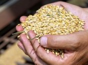 Украинские аграрии намолотили почти 60 миллионов тонн зерновых