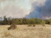 В Николаевской области масштабный лесной пожар 