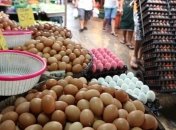 Яйца - питание для здоровья?