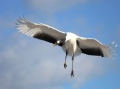 Какой сегодня праздник - День Иосифа Песнопевца