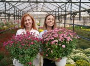 Эти цветы будут радовать глаз аж до поздней осени