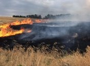 Масштабные пожары: на Луганщине ликвидируют очаги возгорания сухой травы