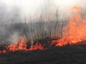 Синоптики объявили чрезвычайную пожарную опасность в Киеве и нескольких областях