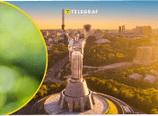 Опасное растение заметили в столице