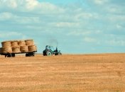 Изменения в госбюджете: как пандемия скажется на финансировании аграриев