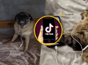 Коллаж "Телеграф"