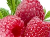 Малина защитит от хронических заболеваний